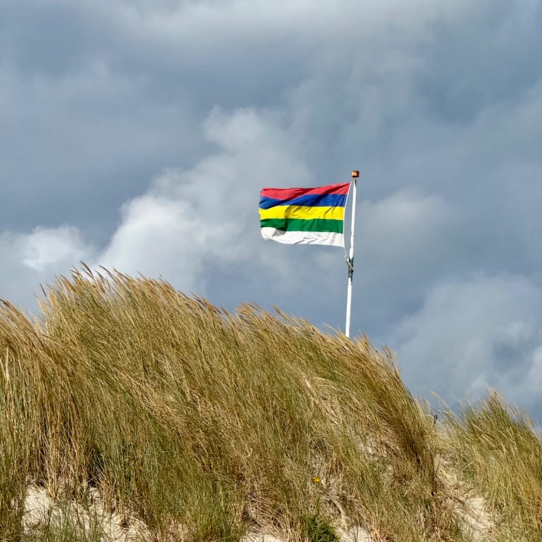 vlag Terschelling Vlag met regenboogkleuren wapperend boven een grasheuvel onder een bewolkte lucht.